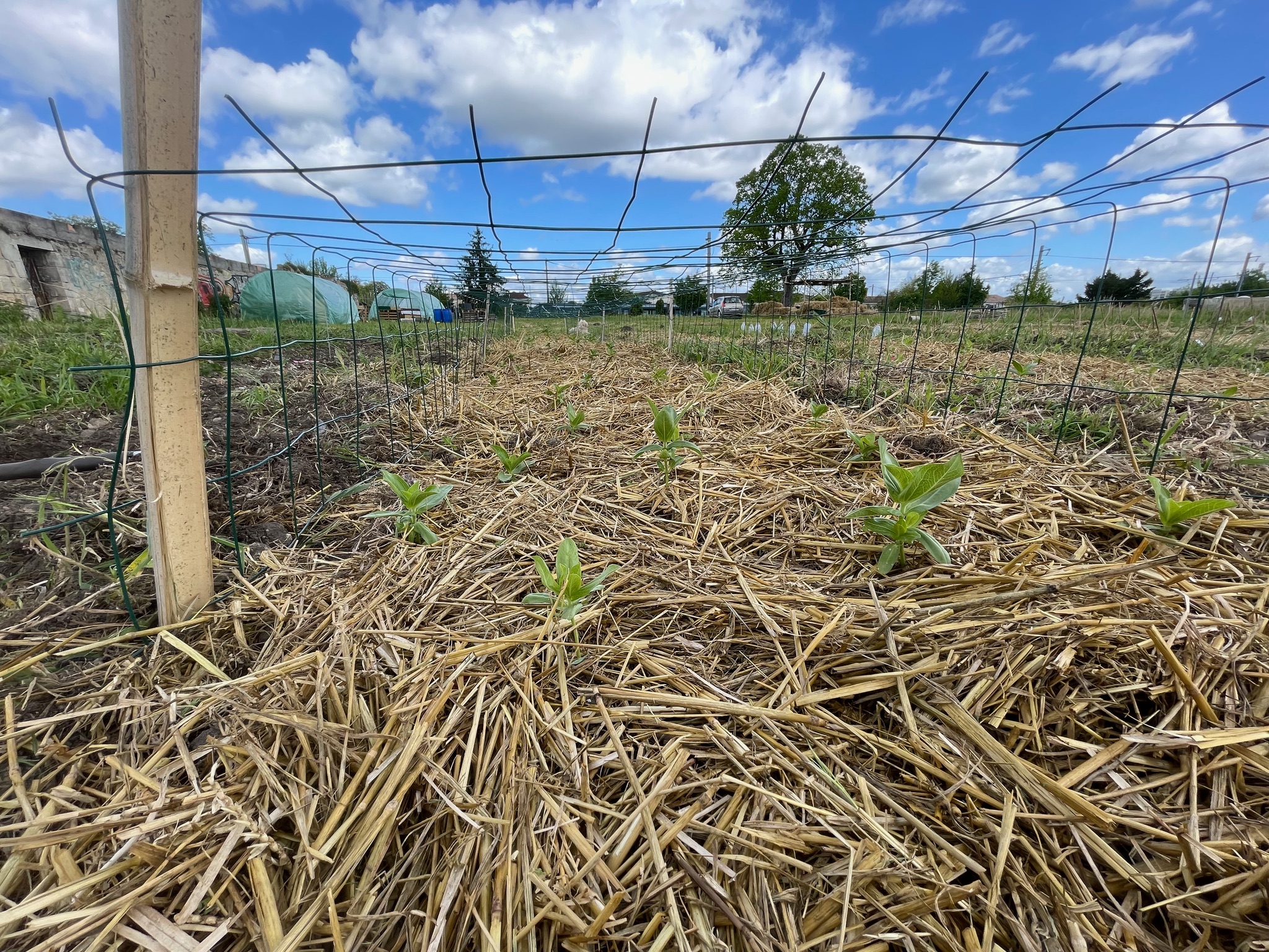L’agro-écologie