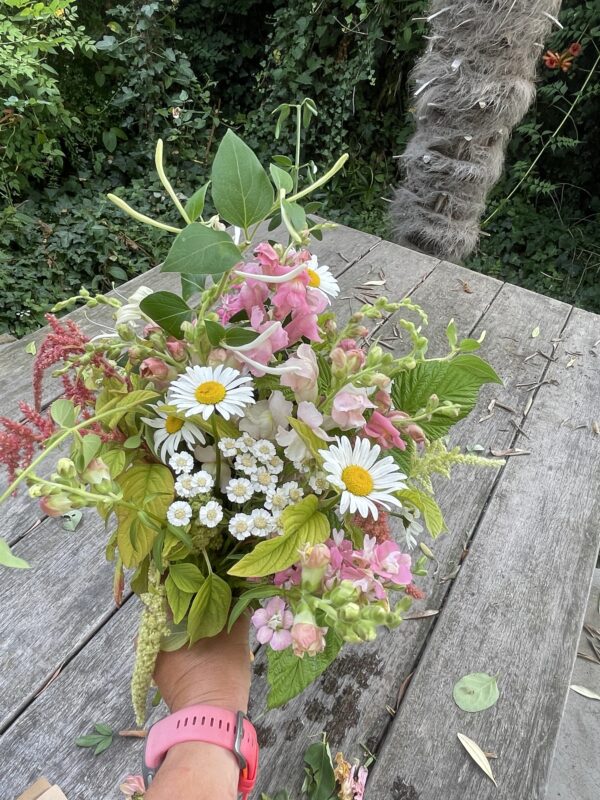 Abonnement – Image 3