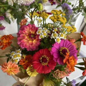 fleurs de saison