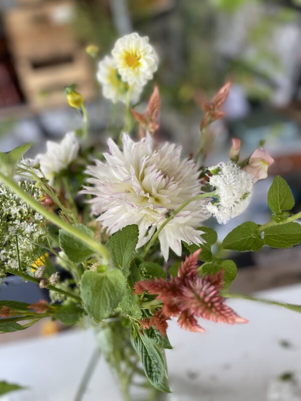 Posy (petit bouquet) – Image 2